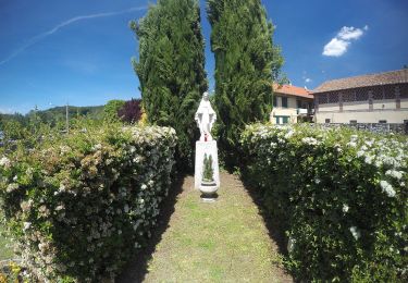 Tour Zu Fuß Sesto Calende - Sentiero Verbano - Photo