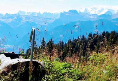 Trail Mountain bike Les Gets - Les Gets - Plateau de Loex - Parcours 2 plus long  17km - 600+ - Photo