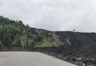 Randonnée A pied Zafferana Etnea - Case Pietracannone - Piano Provenzana - Passo dei Dammusi - Photo