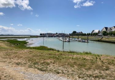 Trail Walking Le Crotoy - Port du crotoy - port de St Valéry sur somme par GR - Photo