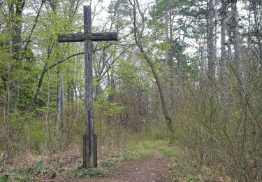 Excursión A pie Waldstetten - Nordic Walking Strecke 2 - Photo