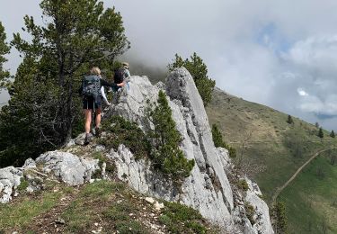 Trail Walking Aillon-le-Jeune - Mont Colombier par les rochers de la Bade et la sente de Rossanaz avec CAF Annecy -R3 - Photo