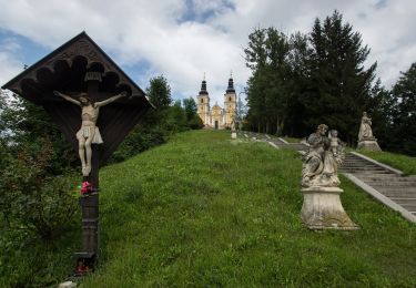 Tour Zu Fuß Unbekannt - Wanderweg 80 - Photo