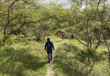 Trail Walking Bray-Dunes - Dune du Perroquet - Photo