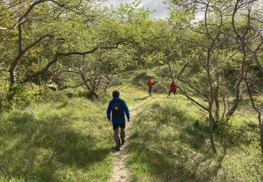 Tour Wandern Bray-Dunes - Dune du Perroquet - Photo