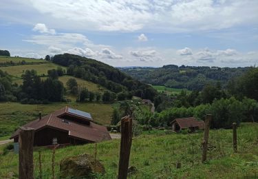 Trail Walking Fougerolles-Saint-Valbert - 21-07-24 Fougerolles - St Bresson - Photo