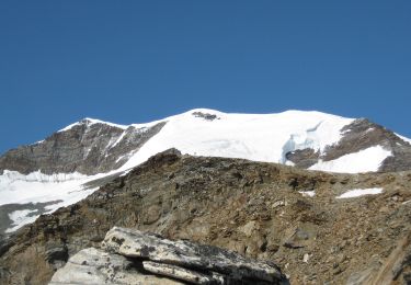 Tour Zu Fuß Gressoney-La-Trinité - Gabiet-Rifugio Mantova - Photo