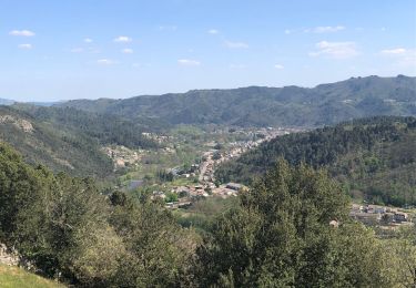 Tour Wandern Vals-les-Bains - Autour de Niegles - Photo