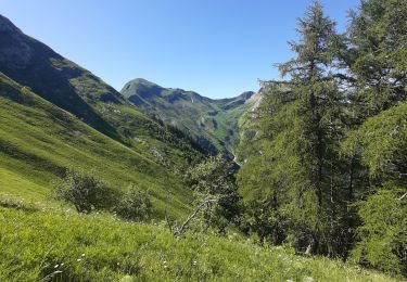 Trail Walking École - BAUGES: PECLOZ - ARMENAZ - FOUGERES depuis le parking du Couvent - Photo