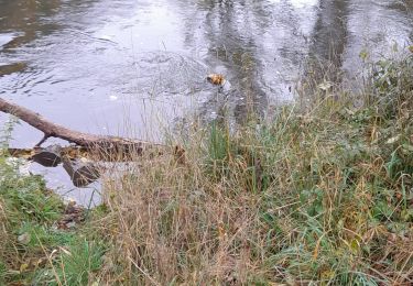 Tour Wandern Ferrières - Sy ac 3 - Photo