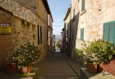 Percorso A piedi Allerona - Anello orvietano - Photo