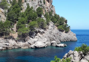 Trail Walking Escorca - MAJORQUE - Torrent de Pareis - Photo