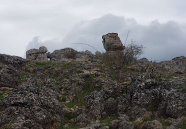 Tour Wandern Fraissinet-de-Fourques - nimes le vieux - Photo