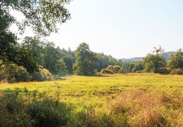 Tocht Te voet Ralsko - naučná stezka Jeřáb - Photo