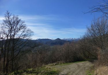 Tour Zu Fuß Grandeyrolles - Thones le jeune - Photo