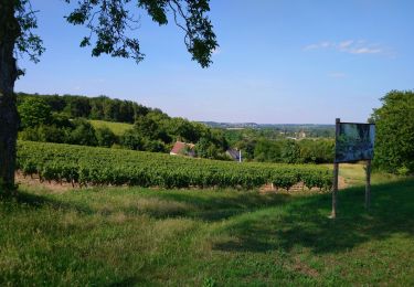 Trail Walking Vernou-sur-Brenne - Vernou-sur-Brenne - Jallanges Vouvray Compostelle - 16km 180m 3h40 - 2022 07 06 - Photo