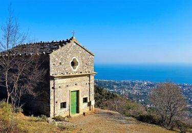 Trail On foot Zuccarello - Terre Alte (Zuccarello) - Photo