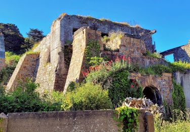 Tour Wandern Plougasnou - Bretagne nord J5 De Plougasnou à Guimaec - Photo