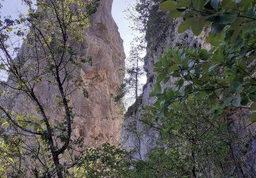 Trail Walking Allèves - tours st jacq  court - Photo