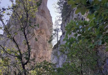 Tour Wandern Allèves - tours st jacq  court - Photo