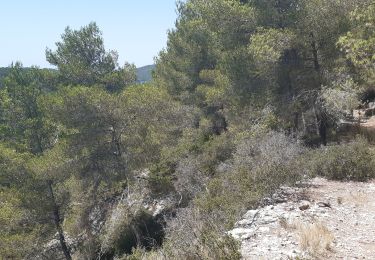 Trail Mountain bike Martigues - martigues - Photo
