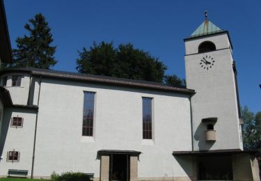 Tour Zu Fuß Unbekannt - Stadtwald-Walk - Photo