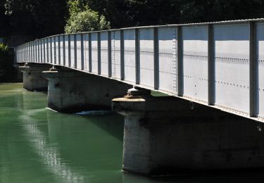 Tocht Te voet Rüdlingen - Rüdlingen - Eglisau Bahnhof - Photo