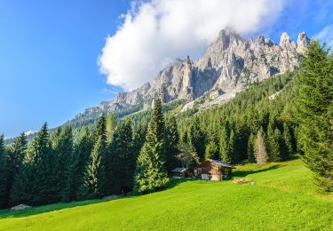 Trail On foot Primiero San Martino di Castrozza - IT-E731 - Photo