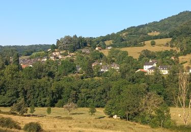 Randonnée Marche Castillon-en-Couserans - Castillon Argein Sor Salsein - Photo