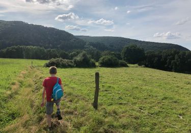 Tour Wandern Manhay - Les Deux-Rys - Photo