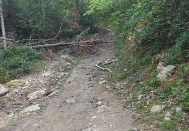 Trail Walking Biriatou - AR Biriatou - col d'Ibardin  - Photo