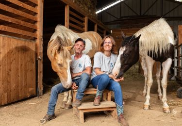 Trail Horseback riding Flavin - FLAVIN -LE BASTIE -LA CAPELLE FARCEL- BOULOC - ST BEAUZELIE - Photo