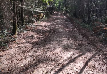 Randonnée Marche Saint-Martin-d'Heuille - la grippe-meulot-la grippe - Photo