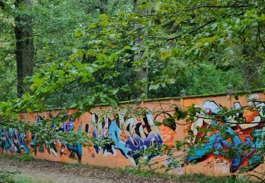 Randonnée Marche Montgeron - Rando_Sénart_par_des_petits_chemins - Photo