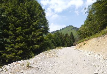 Tour Wandern Jarsy - parc à moutons  - Photo