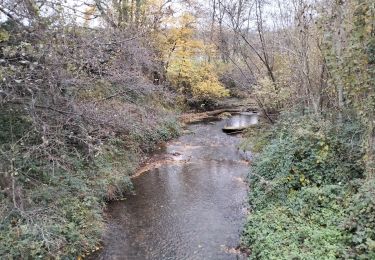 Tocht Stappen Cour-et-Buis - 38-Cour-et-Buis-Eyzin-restau-18km-420mdec22 - Photo