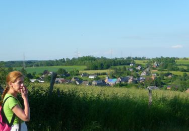 Excursión A pie Houyet - GrWandArdRiv27: Gendron: een prachtig stuk Beneden-Lesse (PVDB) - Photo