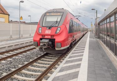 Percorso A piedi Zapfendorf - Rundweg Schwarze 4 Zapfendorf - Photo