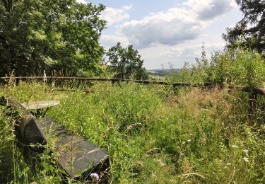 Tour Zu Fuß Goldkronach - Goldkronach Rundwanderweg Nr. 3 - Photo