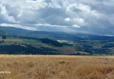 Trail Walking La Bastide-Puylaurent - Etape 5 Bastide Puy Laurent/ le Bleymard - Photo