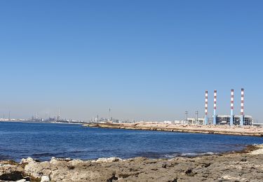 Tour Wandern Martigues - CARRO - Photo