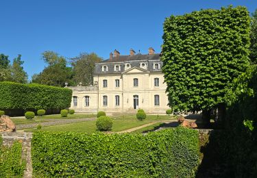 Trail On foot Blandy - Boucle 29 km autour de Blandy les Tours - Photo
