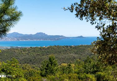 Trail Walking Roquebrune-sur-Argens - REV Château Vaudois les petites Maures - Photo