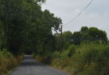 Randonnée A pied The Municipal District of Cahir — Cashel - Lough Muskry - Photo