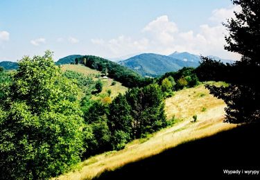 Percorso A piedi Băile Herculane - Băile Herculane (Cartier Zăvoi) - Platoul și Izvorul Coronini - Cracul lui Arendașu -Poiana cu Peri - Vf. Elisabeta - Vf.Ciorici -Grota cu Aburi - Grota Haiducilor - Hotel Roman - Photo