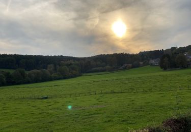 Trail Walking Theux - Hodbomont 24 km - Photo