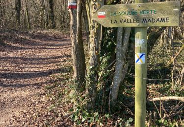 Trail Walking Crèvecœur-le-Grand - Crevecoeur  - Photo