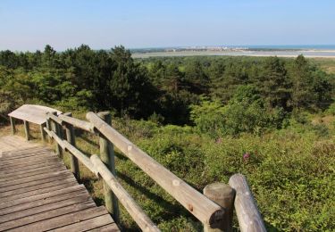 Trail Walking Camiers - LP80_ETAPLES_Reserve-Baie-de-Canches_6.2km - Photo