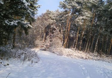 Tocht Te voet Oer-Erkenschwick - Mutter Wehner Rundweg A4 - Photo