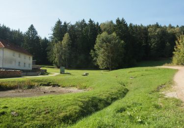 Tocht Te voet Schnaittenbach - Bernsteinweg - Photo